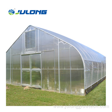 Capsicum Growing Single-span Greenhouses